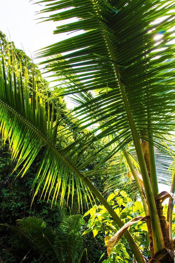 Choibana Ecolodge Bahia Solano Exterior photo