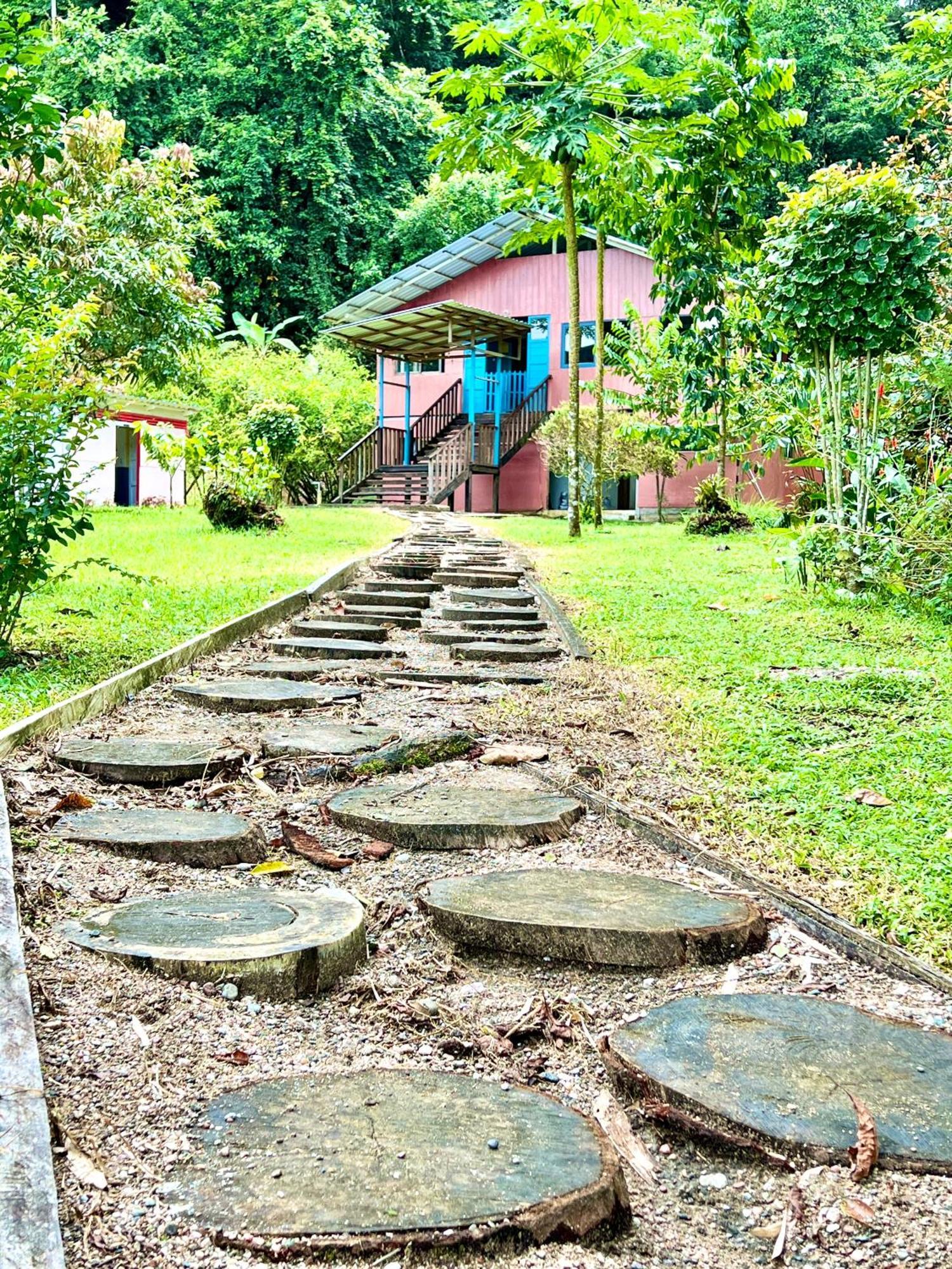 Choibana Ecolodge Bahia Solano Exterior photo